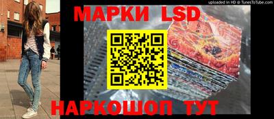 индика Обь