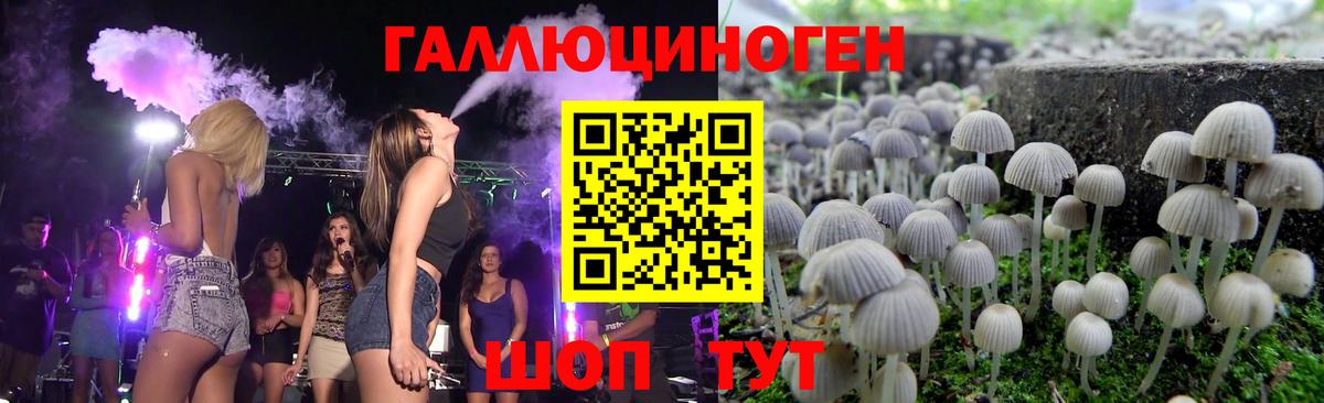 дарнет шоп  Галлюциногенные грибы Magic Shrooms  Вход с VPN  Советский 