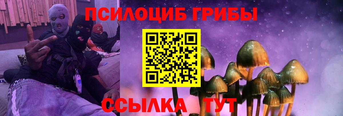Псилоцибиновые грибы Cubensis Советский